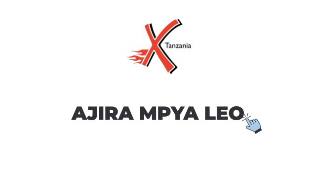 AutoXpress Tanzania Jobs 2026