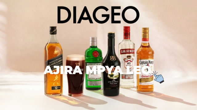 Diageo Tanzania Vacancies 2026
