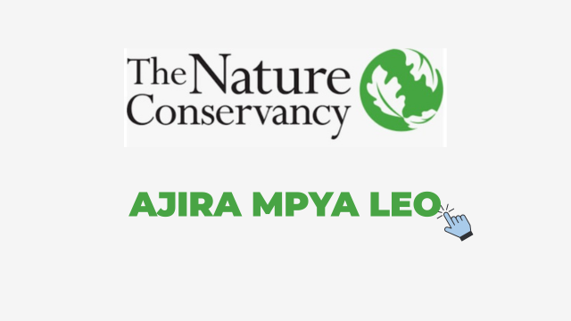Education Outreach Tanzania (EDOTA) Jobs 2026
