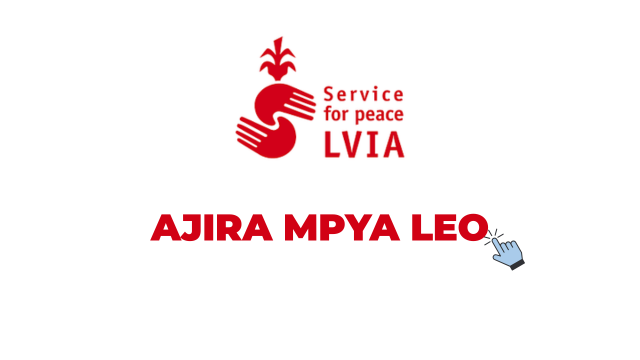 LVIA Accountant Job Vacancy 2026