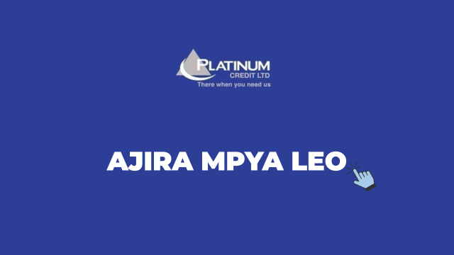 Platinum Credit Tanzania Jobs 2026