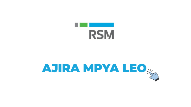 RSM Tanzania Vacancies 2026