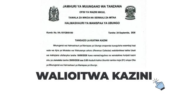 Ubungo Municipal Council Call for Work PDF 2026