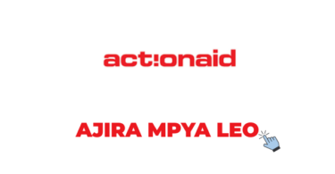 ActionAid Tanzania Vacancies 2026: Executive Coordinator Job