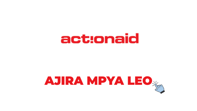 ActionAid Tanzania Vacancies 2026: Executive Coordinator Job