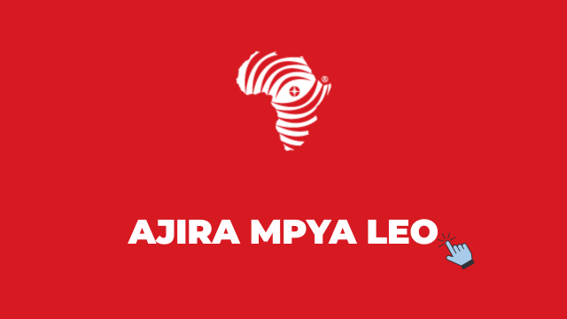 Afritrack Customer Experience Manager Job in Tanzania 2026