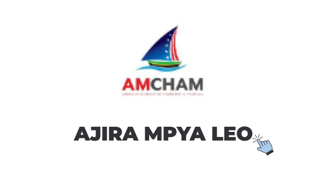 American Chamber of Commerce in Tanzania Jobs 2026 – 2 Internships