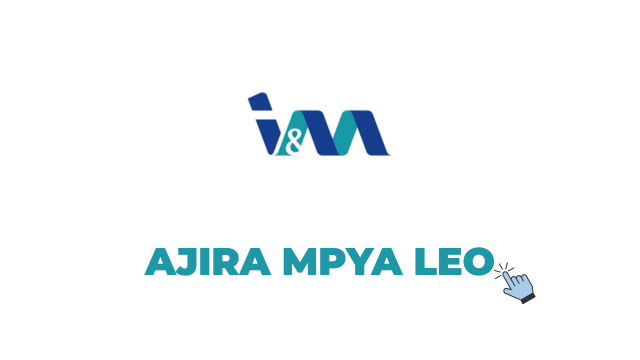 Assurance Risk Audit Officer Job 2026 – iM Bank Tanzania