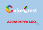 Colorcrest Paints Limited Vacancies 2026: Paint & Decorative Coatings Sales and Marketing Representative