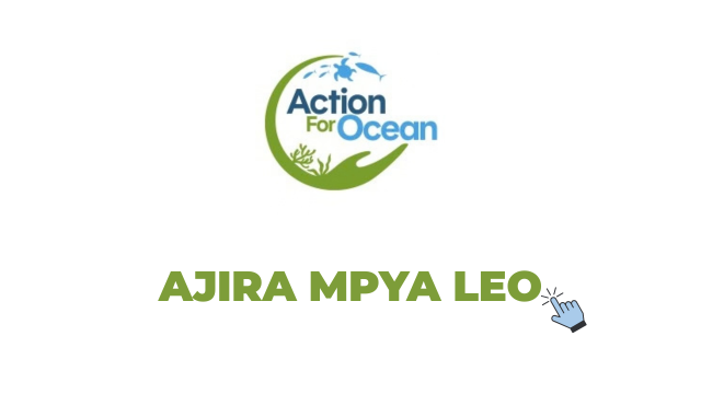 Driver Vacancy at Action For Ocean 2026