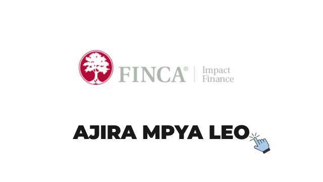 FINCA Microfinance Bank Tanzania Jobs 2026