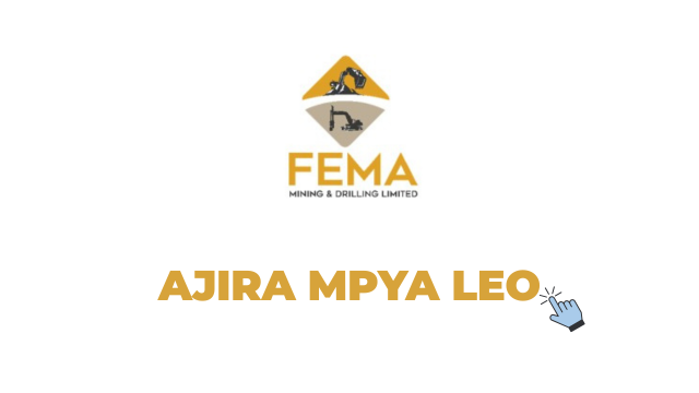 Fema Mining and Drilling Limited Administration and Human Resources Officer Job 2026