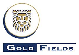 Gold Fields Data Processing Clerk Job 2026