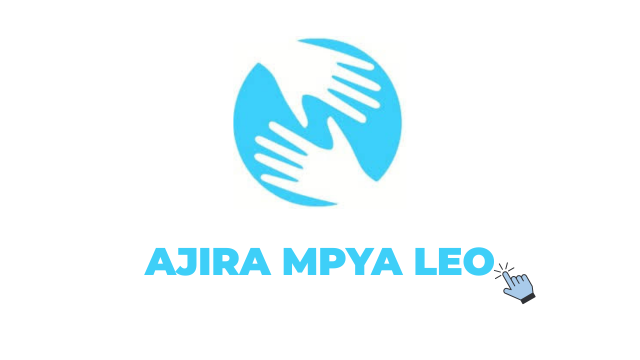 Hand in Hand Eastern Africa Tanzania Jobs 2026: Technical Advisor – RISE Tanzania Project