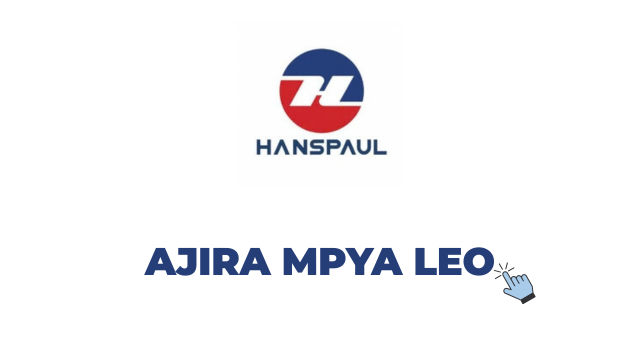 Hanspaul Group Jobs in Tanzania 2026 – 2 Vacancies