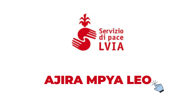 LVIA Ong Accountant Vacancy Tanzania 2026