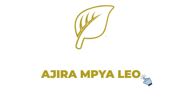 Mkwawa Leaf Tobacco Limited Vacancies 2026: HR Business Partner – Agronomy, West