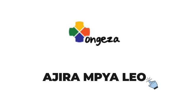 Ongeza Tanzania Ltd Customer Service Supervisor Job 2026
