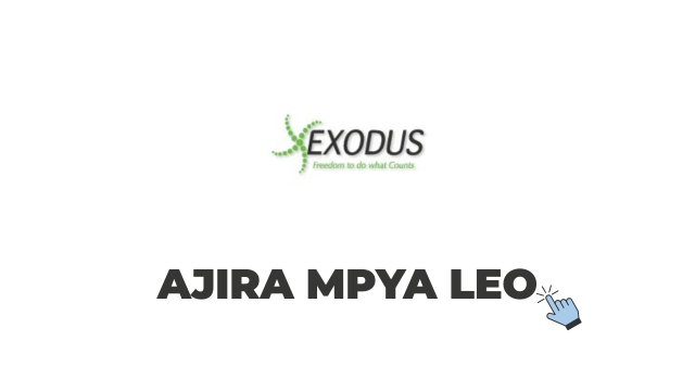 Pesadesk Sales Agents at Exodus Tanzania – 4 Positions