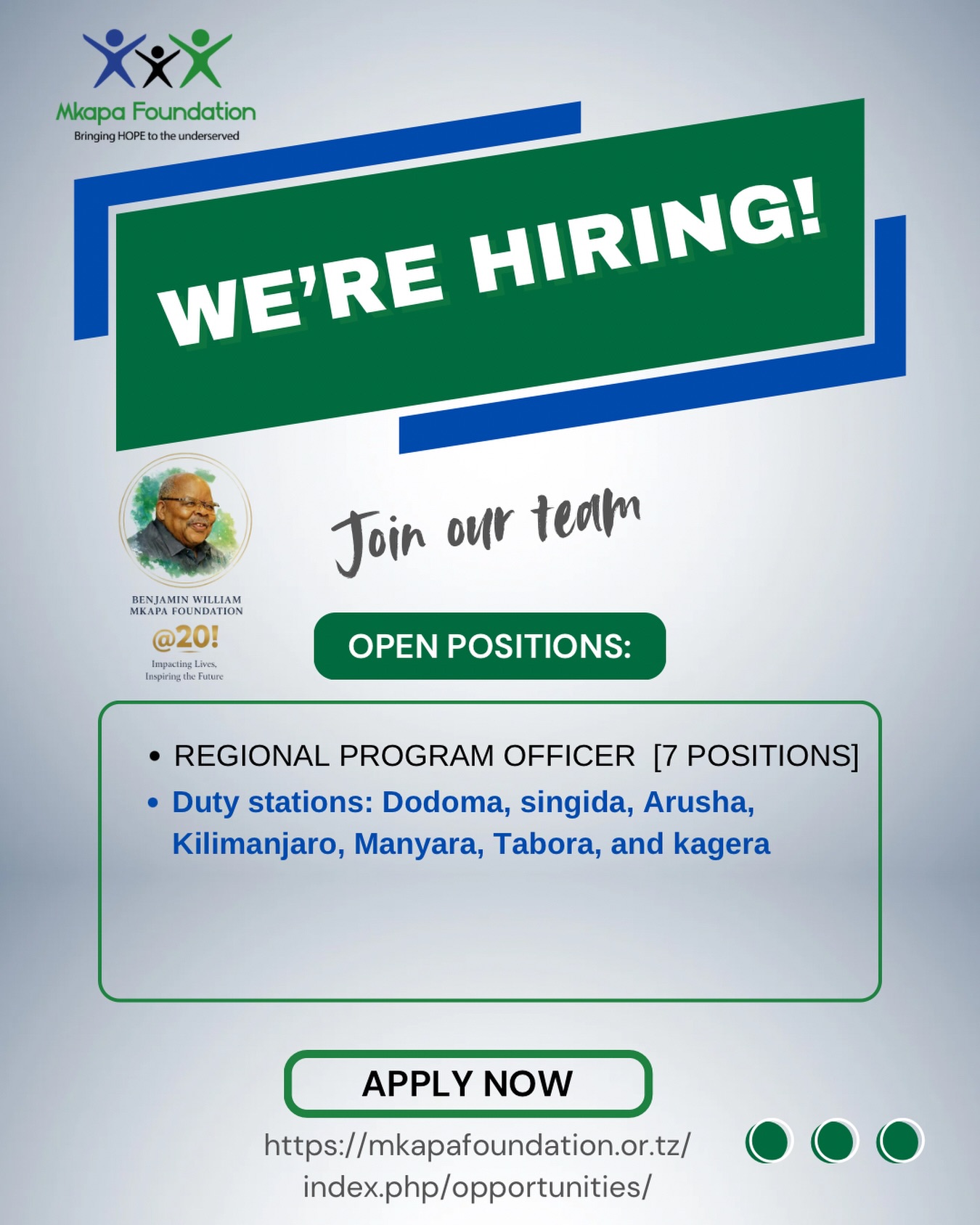 Benjamin William Mkapa Foundation Regional Programme Officer Job 2026